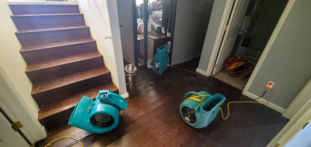 Best Local water damage restoration  in Earlvle, IL