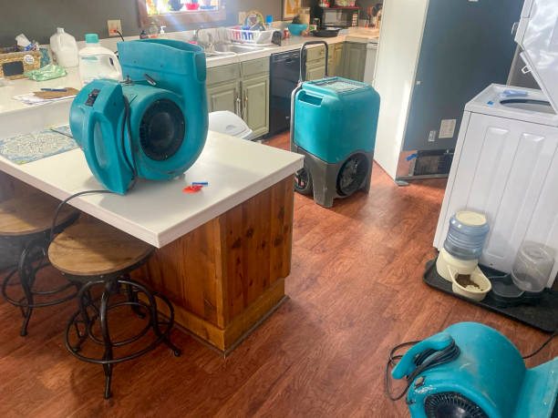 Best 24-hour water damage restoration  in Earlvle, IL