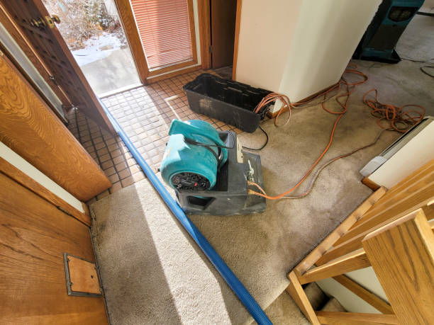 Best Water damage restoration services  in Earlvle, IL
