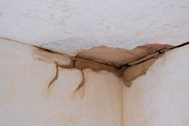 Best Residential water damage restoration  in Earlvle, IL