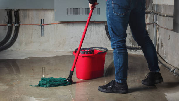 Best Water damage restoration near me  in Earlvle, IL