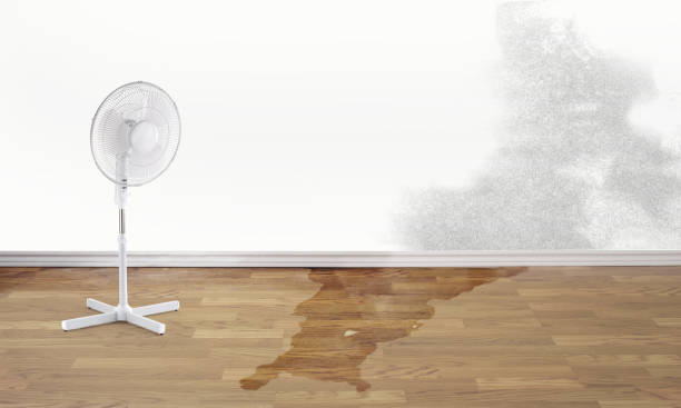  Earlvle, IL Water damage restoration Pros