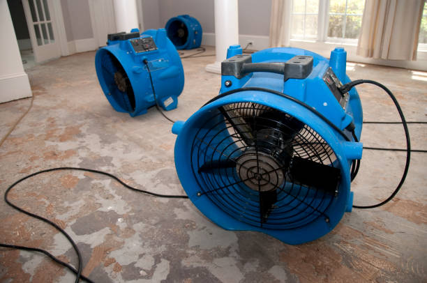 Best Emergency water damage restoration  in Earlvle, IL