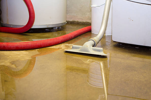 Best Carpet water damage restoration  in Earlvle, IL