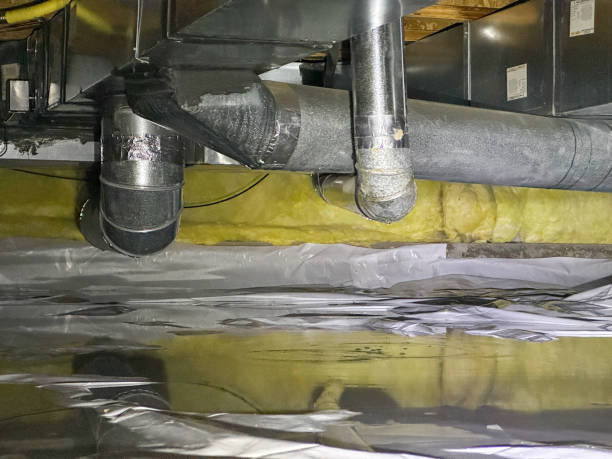 Best Water damage cleanup near me  in Earlvle, IL