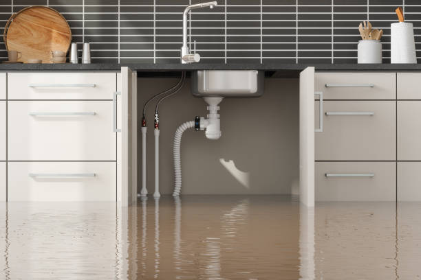  Earlvle, IL Water damage restoration Pros
