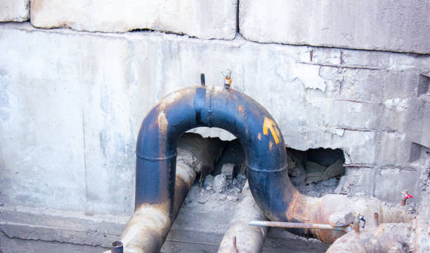 Best Water damage restoration cost  in Earlvle, IL