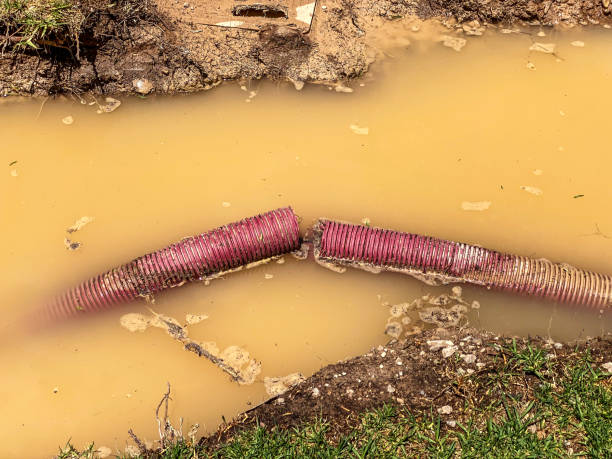 Best Flood damage cleanup  in Earlvle, IL
