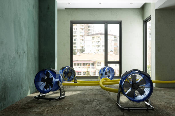 Best Commercial water damage restoration  in Earlvle, IL